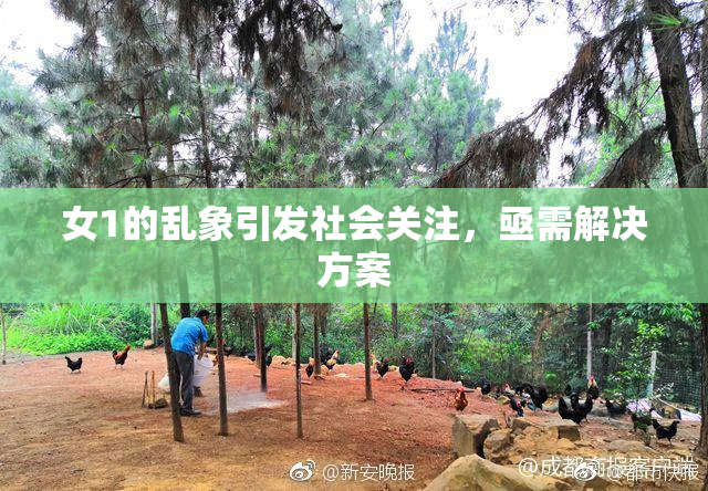 女1的乱象引发社会关注，亟需解决方案