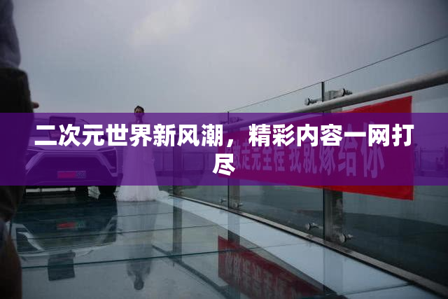 二次元世界新风潮，精彩内容一网打尽