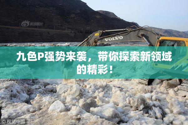 九色P强势来袭，带你探索新领域的精彩！