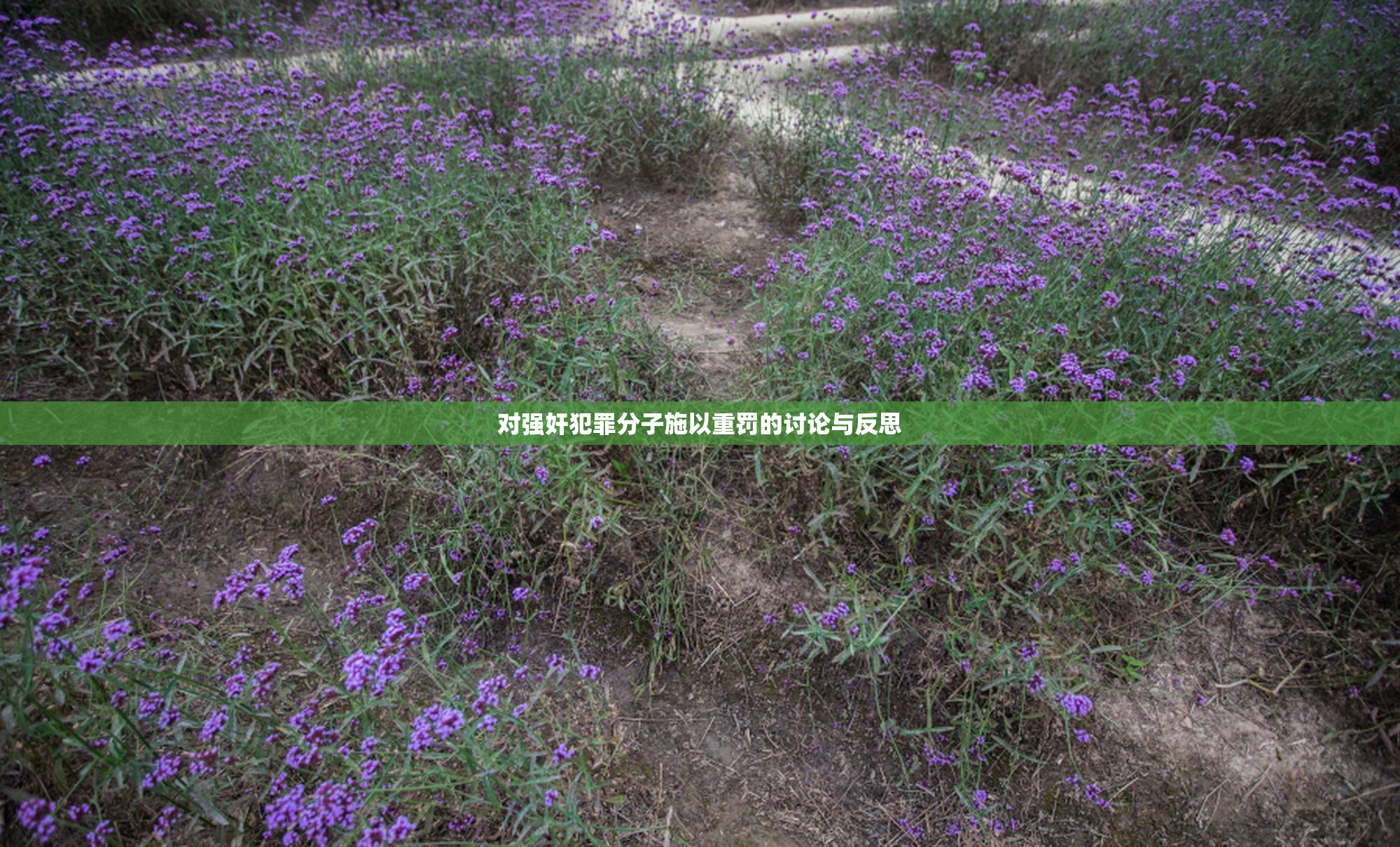 对强奸犯罪分子施以重罚的讨论与反思
