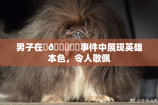 男子在‌🍌❌‌事件中展现英雄本色，令人敬佩