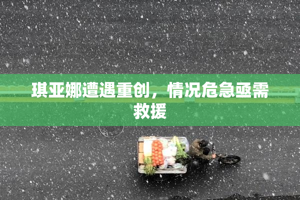 琪亚娜遭遇重创，情况危急亟需救援