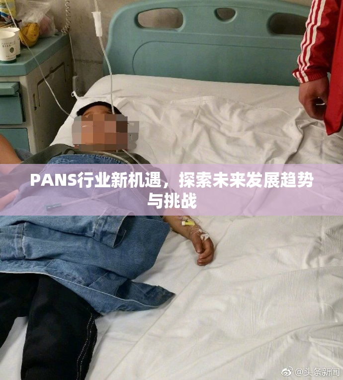 PANS行业新机遇，探索未来发展趋势与挑战