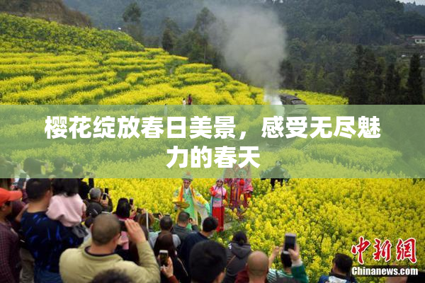 樱花绽放春日美景，感受无尽魅力的春天