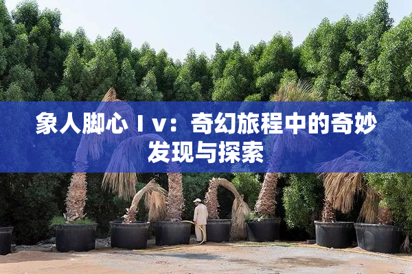 象人脚心Ⅰv：奇幻旅程中的奇妙发现与探索