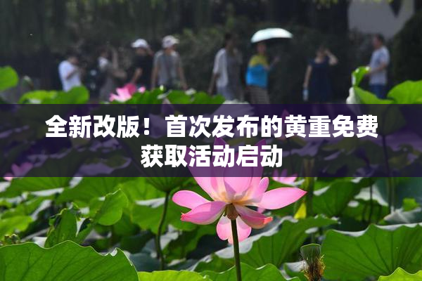 全新改版！首次发布的黄重免费获取活动启动
