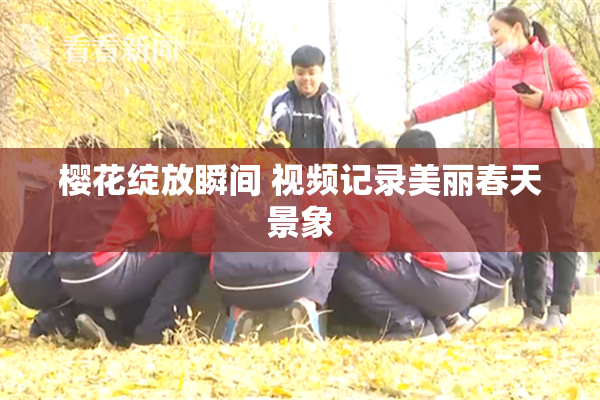 樱花绽放瞬间 视频记录美丽春天景象
