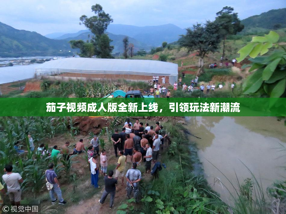 茄子视频成人版全新上线，引领玩法新潮流