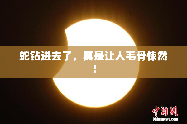 蛇钻进去了，真是让人毛骨悚然！