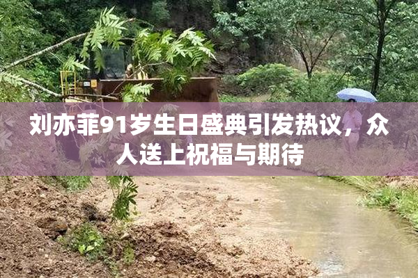 刘亦菲91岁生日盛典引发热议，众人送上祝福与期待