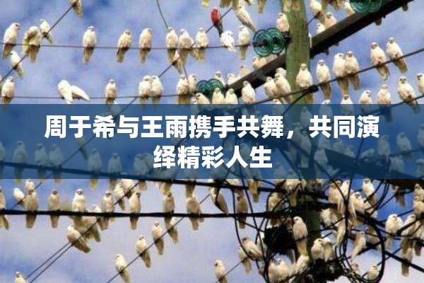 周于希与王雨携手共舞，共同演绎精彩人生