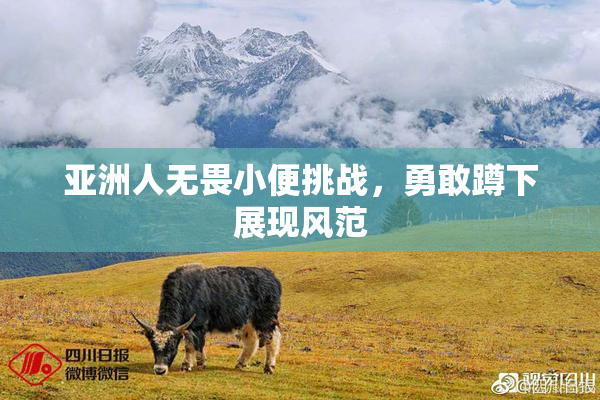 亚洲人无畏小便挑战，勇敢蹲下展现风范