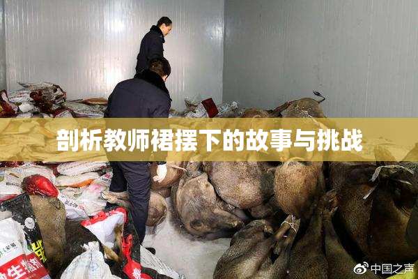 剖析教师裙摆下的故事与挑战