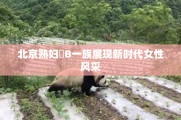 北京熟妇槡B一族展现新时代女性风采