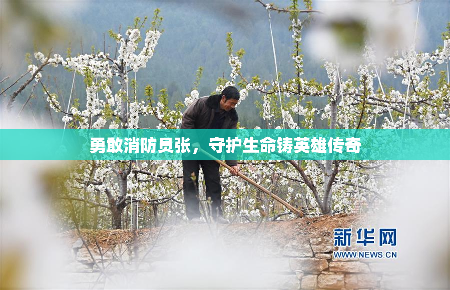 勇敢消防员张，守护生命铸英雄传奇