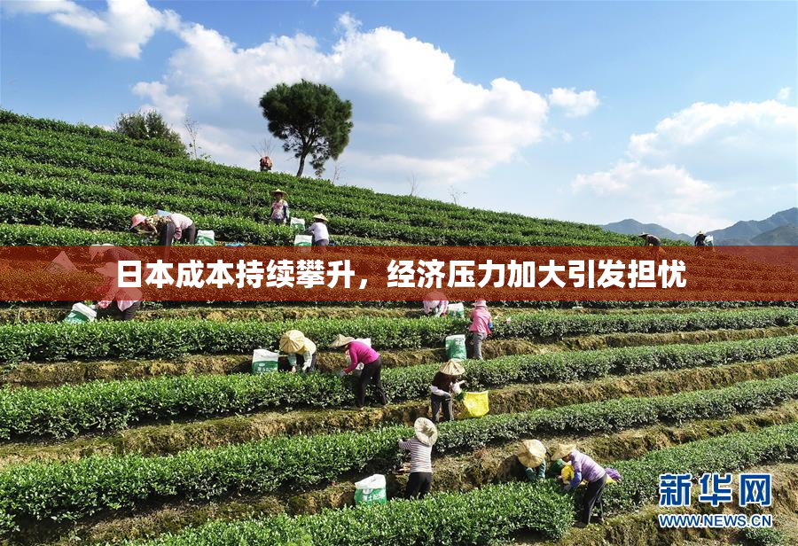 日本成本持续攀升，经济压力加大引发担忧