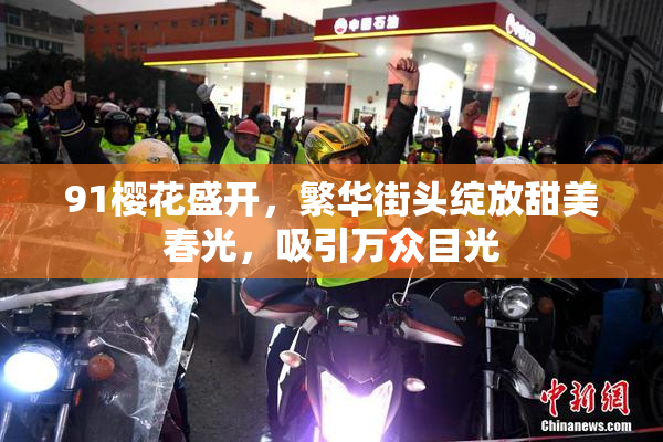 91樱花盛开，繁华街头绽放甜美春光，吸引万众目光