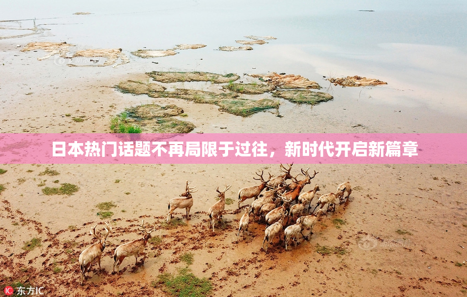 日本热门话题不再局限于过往，新时代开启新篇章