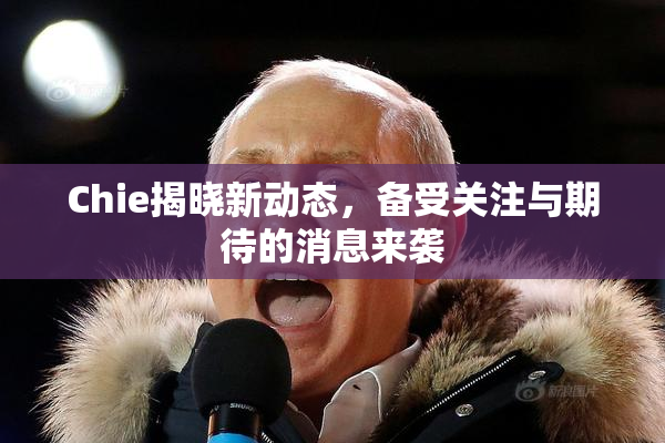 Chie揭晓新动态，备受关注与期待的消息来袭