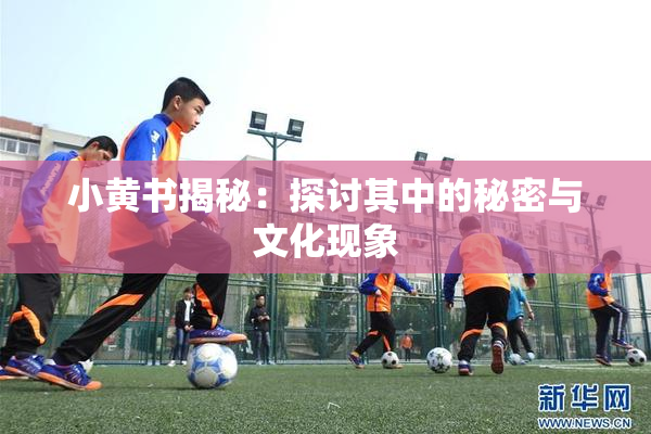 小黄书揭秘：探讨其中的秘密与文化现象
