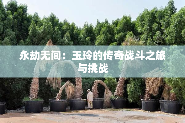 永劫无间：玉玲的传奇战斗之旅与挑战