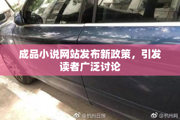 成品小说网站发布新政策，引发读者广泛讨论