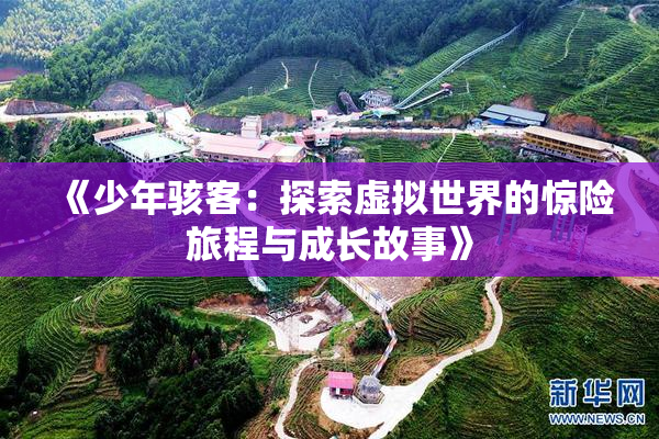 《少年骇客：探索虚拟世界的惊险旅程与成长故事》