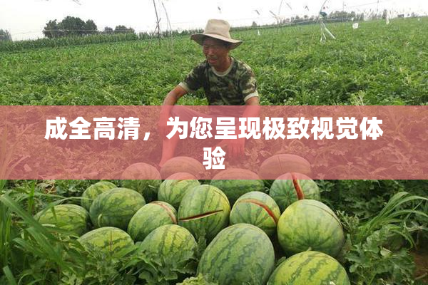 成全高清，为您呈现极致视觉体验