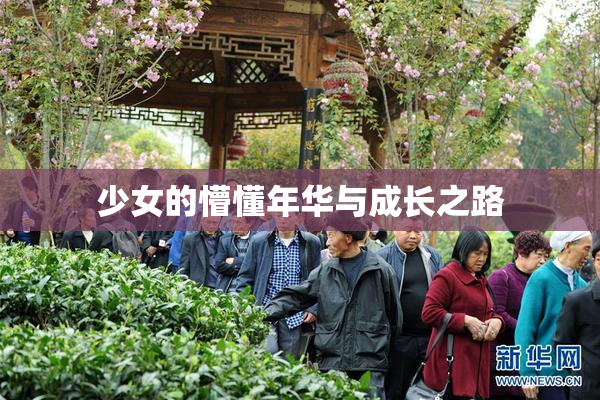 少女的懵懂年华与成长之路
