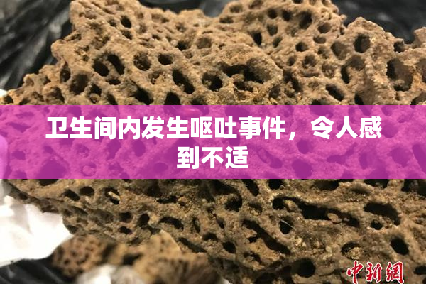卫生间内发生呕吐事件，令人感到不适