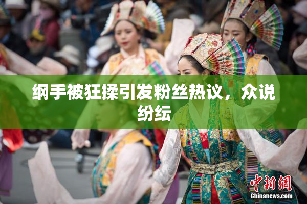 纲手被狂揉引发粉丝热议，众说纷纭