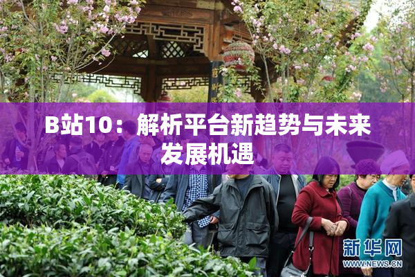 B站10：解析平台新趋势与未来发展机遇
