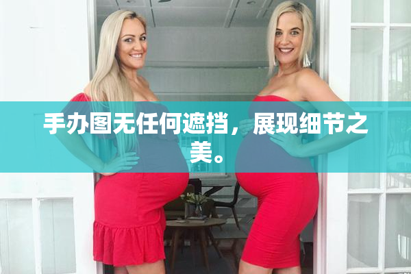 手办图无任何遮挡，展现细节之美。