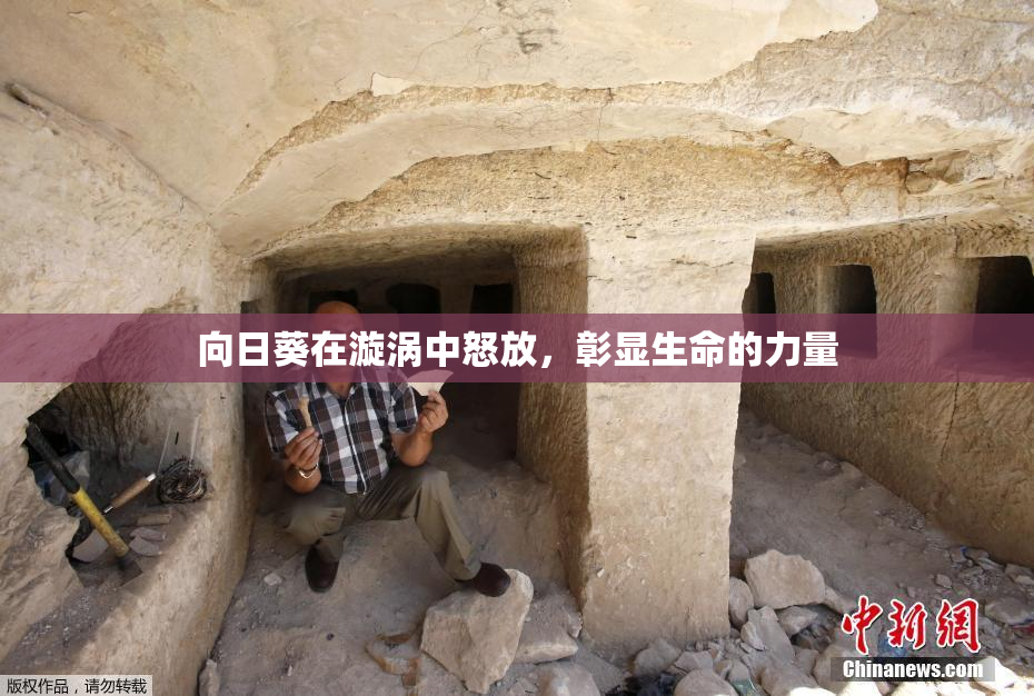 向日葵在漩涡中怒放，彰显生命的力量