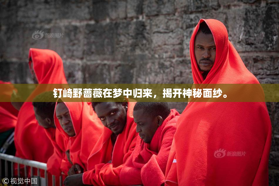 钉崎野蔷薇在梦中归来，揭开神秘面纱。