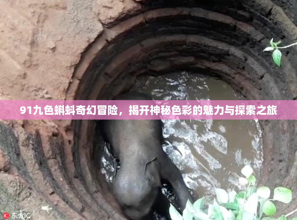 91九色蝌蚪奇幻冒险，揭开神秘色彩的魅力与探索之旅