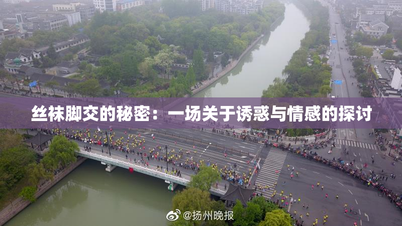 丝袜脚交的秘密：一场关于诱惑与情感的探讨