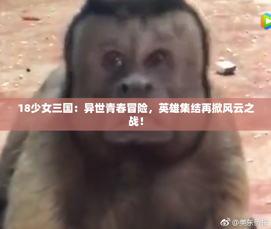 18少女三国：异世青春冒险，英雄集结再掀风云之战！