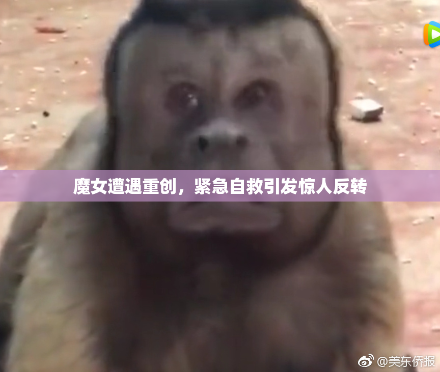 魔女遭遇重创，紧急自救引发惊人反转