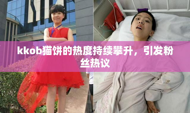 kkob猫饼的热度持续攀升，引发粉丝热议