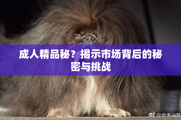 成人精品秘？揭示市场背后的秘密与挑战