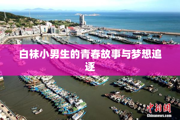 白袜小男生的青春故事与梦想追逐