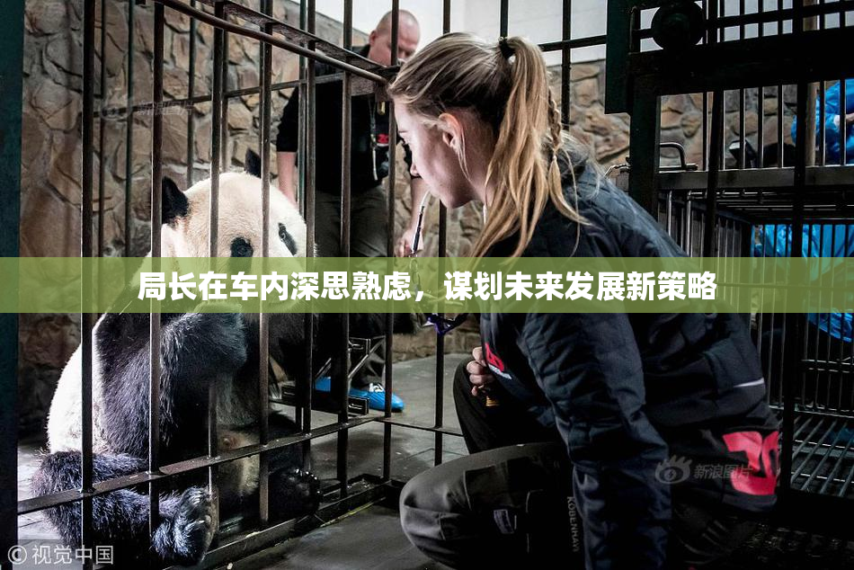 局长在车内深思熟虑，谋划未来发展新策略
