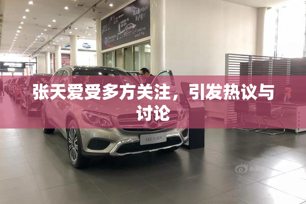 张天爱受多方关注，引发热议与讨论