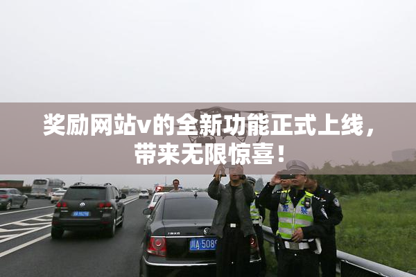 奖励网站v的全新功能正式上线，带来无限惊喜！