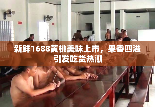 新鲜1688黄桃美味上市，果香四溢引发吃货热潮