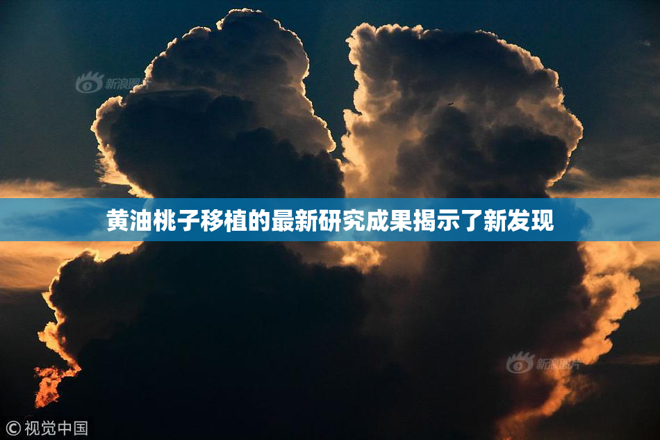黄油桃子移植的最新研究成果揭示了新发现