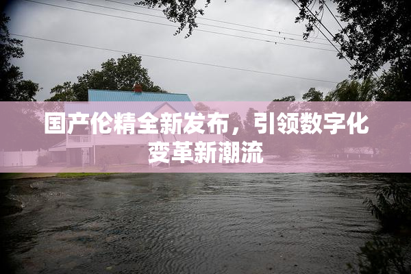 国产伦精全新发布，引领数字化变革新潮流