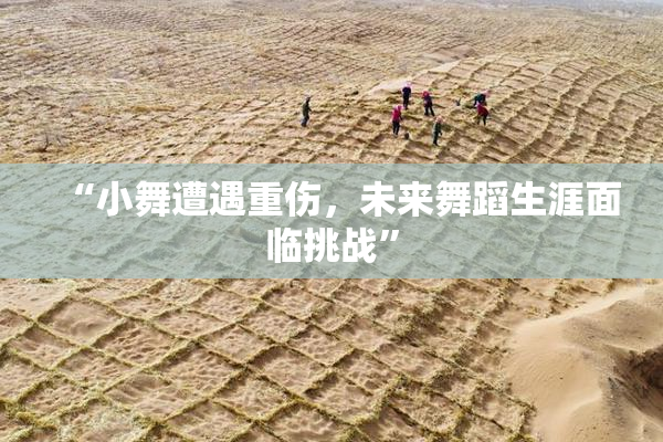 “小舞遭遇重伤，未来舞蹈生涯面临挑战”