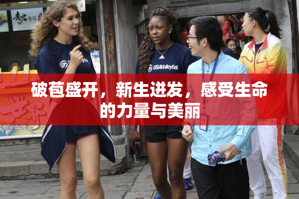 破苞盛开，新生迸发，感受生命的力量与美丽